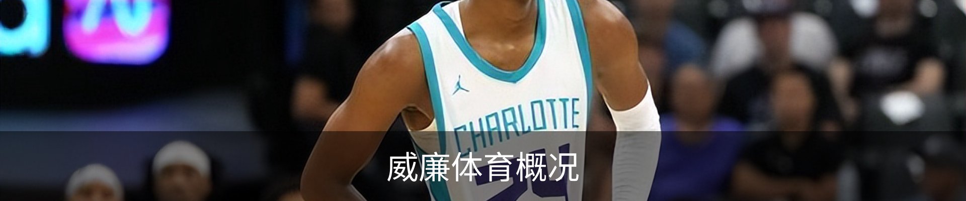 威廉体育概况